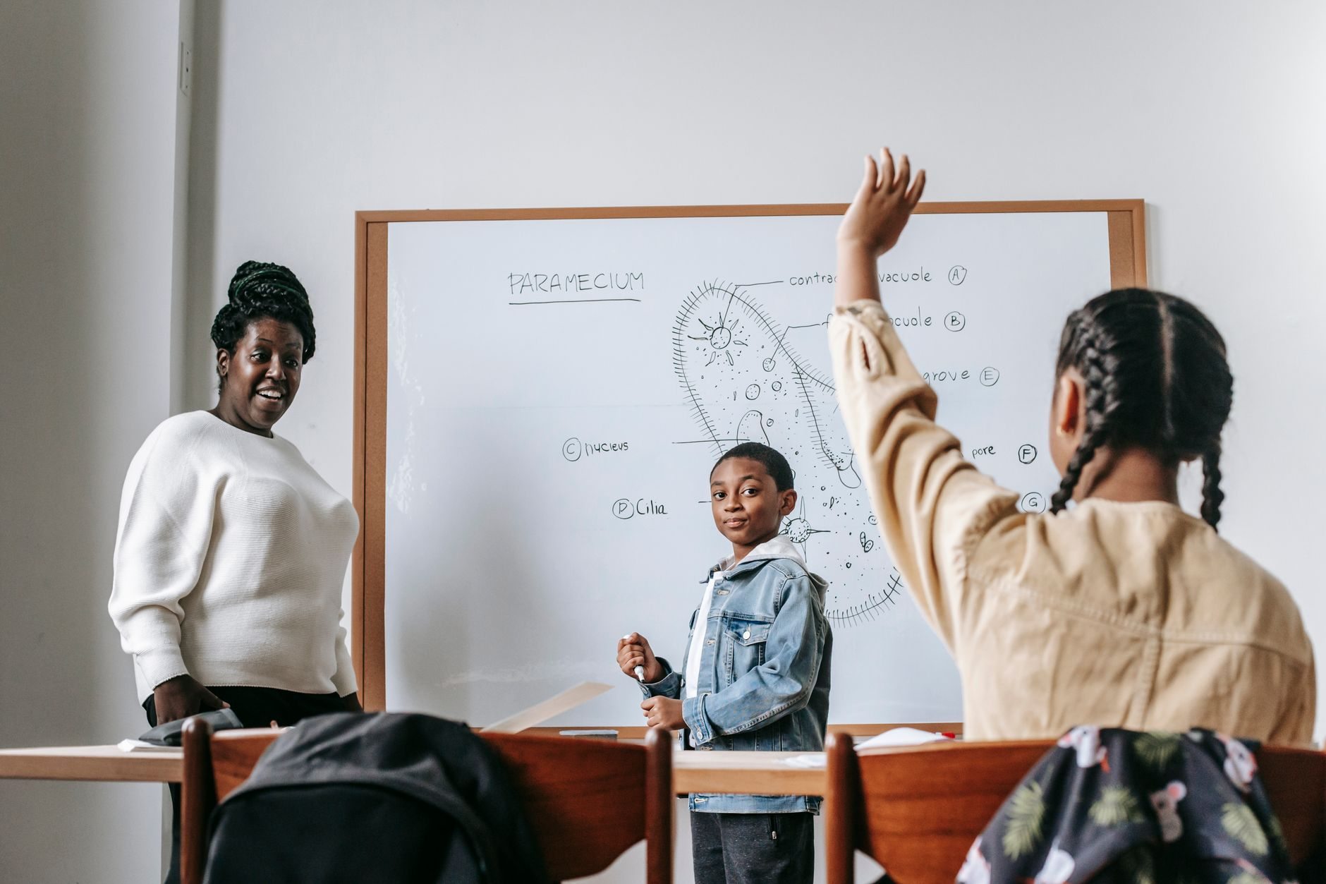La Professionalità Docente e le nuove sfide didattico - educative