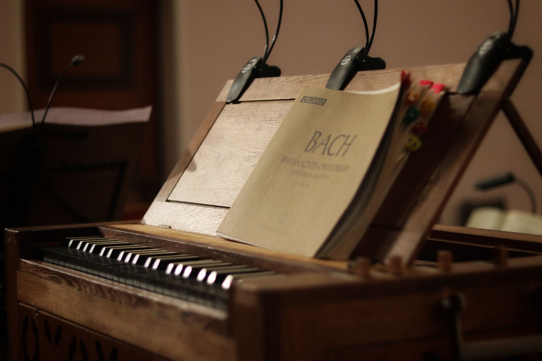 AI56-STRUMENTO MUSICALE NELLA SCUOLA SECONDARIA DI I GRADO (PERCUSSIONI) ex art. 13 del D.P.C.M. 4 agosto 2023