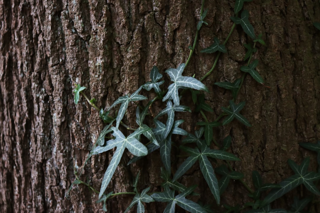 Sostenibilità aziendale