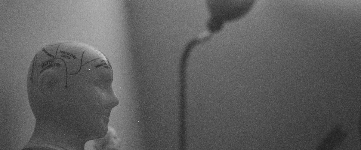 Psicologia del Lavoro e delle Organizzazioni (LM-51)